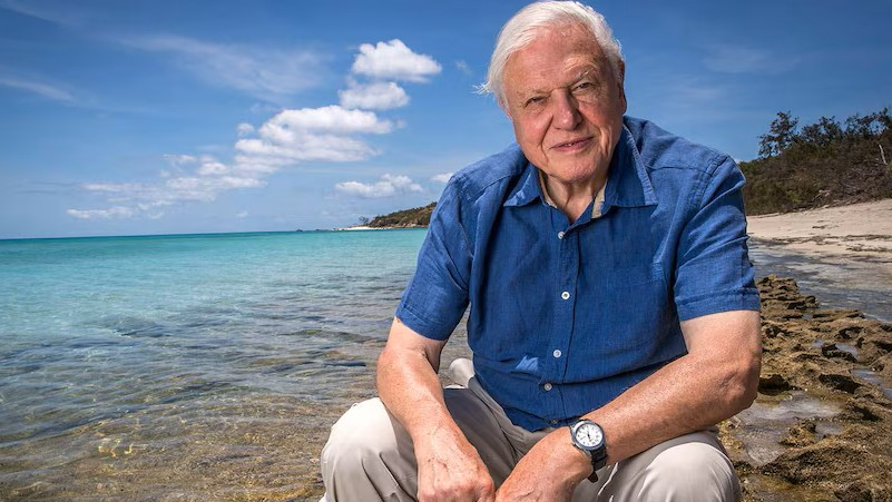 Sir David Attenborough sits on a coastline